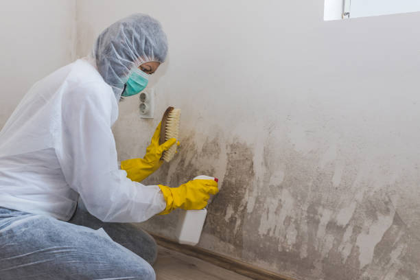 Mold Removal for HVAC Installations in Village Of Oak Creek, AZ
