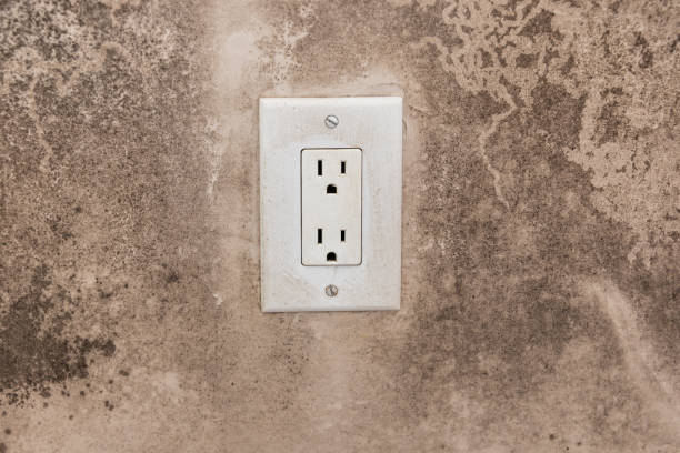 Best Residential Mold Inspection & Testing  in Village Of Oak Creek, AZ